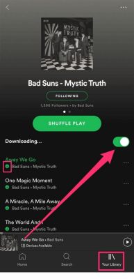 How to Download Music from Spotify to Phone: A Symphony of Possibilities